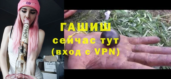 ПСИЛОЦИБИНОВЫЕ ГРИБЫ Богданович