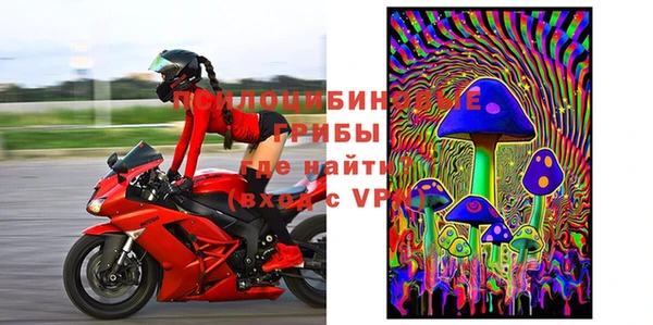 apvp Белокуриха