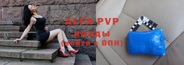 apvp Белокуриха