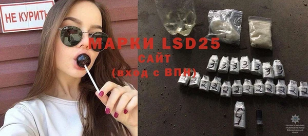 ПСИЛОЦИБИНОВЫЕ ГРИБЫ Богданович