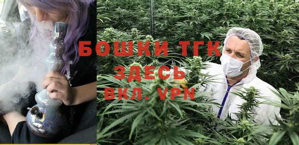 MDMA Богородицк