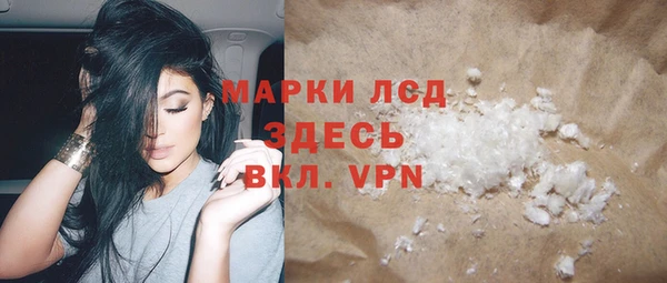 ПСИЛОЦИБИНОВЫЕ ГРИБЫ Богданович