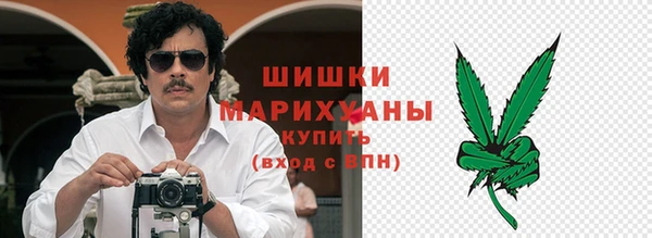 ПСИЛОЦИБИНОВЫЕ ГРИБЫ Богданович