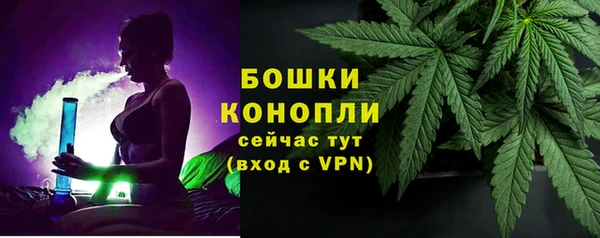 дурь Белоозёрский